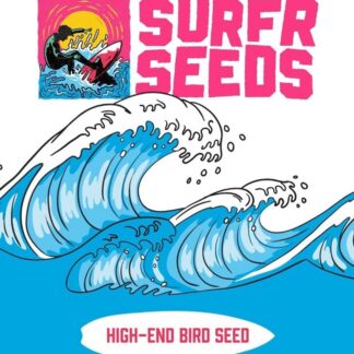 Surfr Seeds